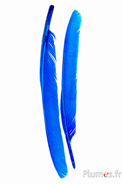 Schwan - 35-40 cm - türkis